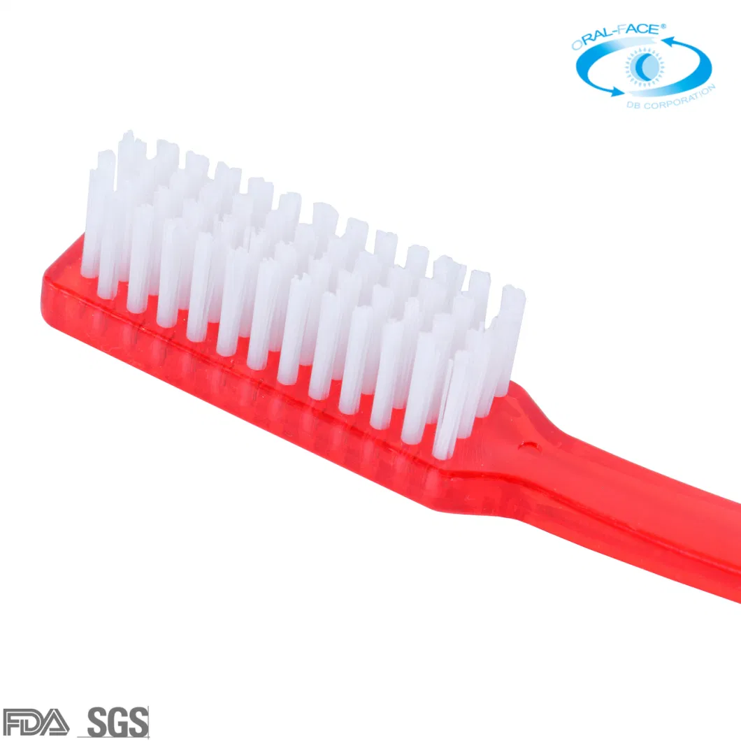 Wholesale Household/Travel Custom Adult Oral Care Toothbrush