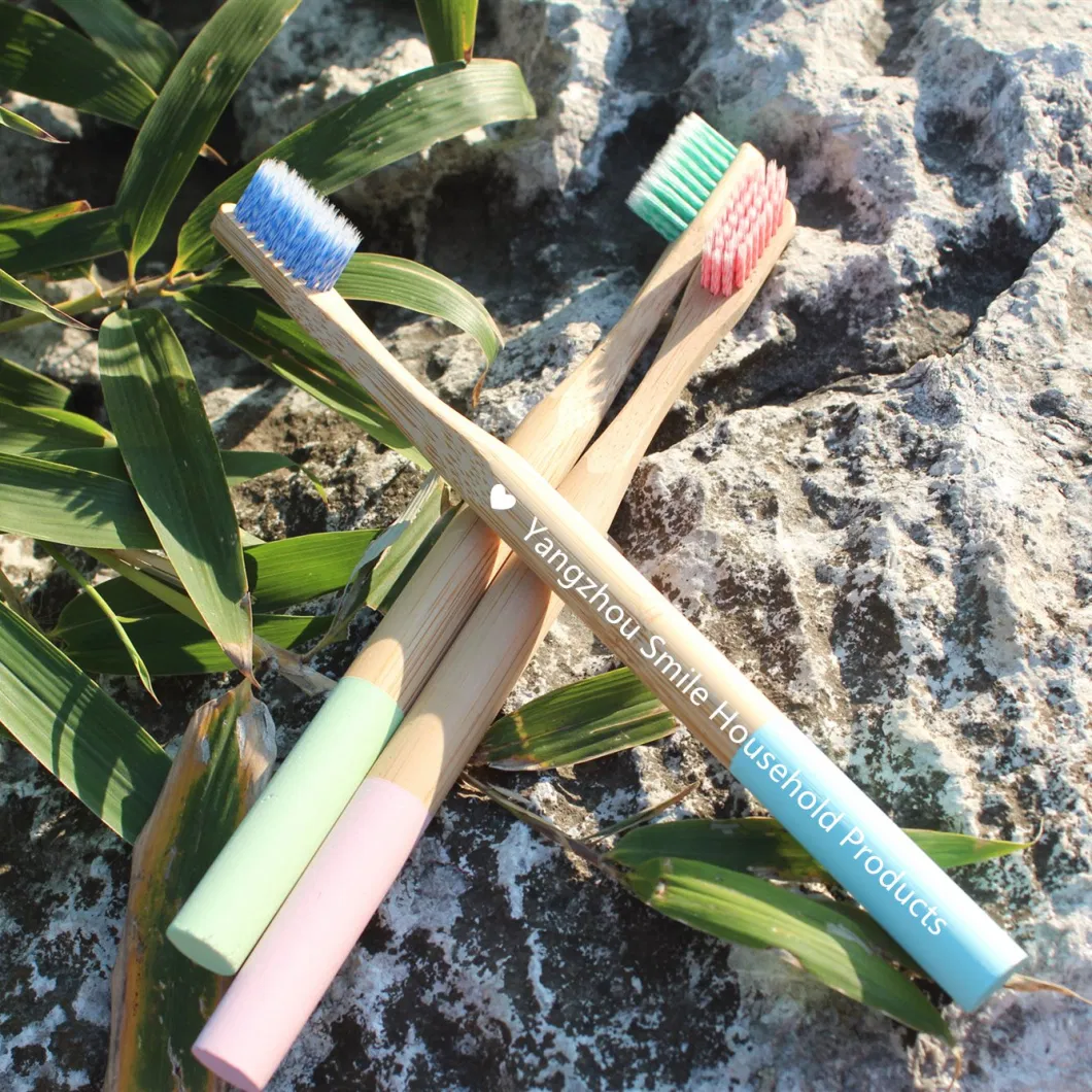 100% Biodegradable OEM Bamboo Toothbrush with Painting Private Label