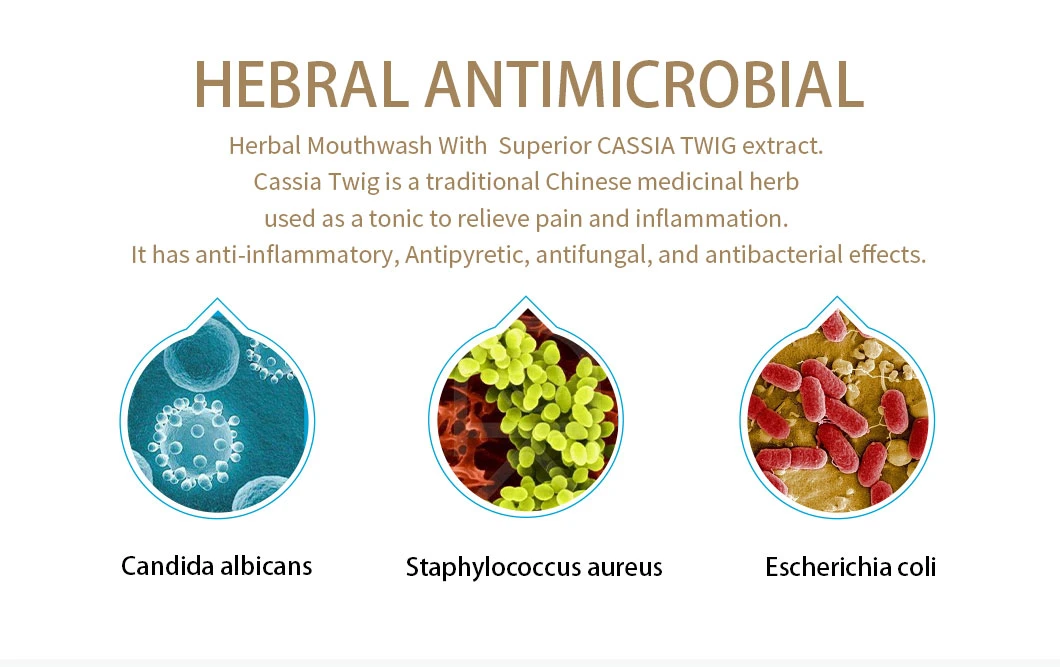 Antibacterial Mouthwash Herbal Fomula Cassia Twig Extract Original Flavor