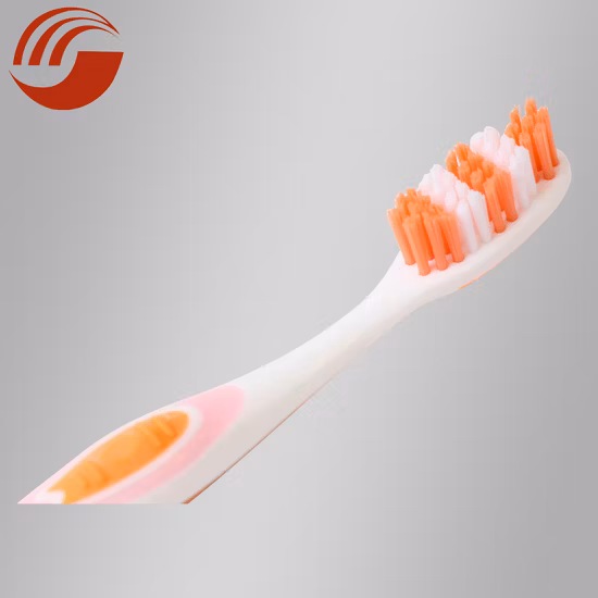 Custom Unique Personal PP/Nylon Oral Care Adult/Child Household/Travel Oral Care